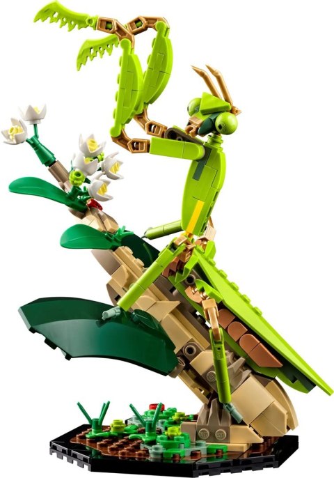 LEGO Ideas 21342 Kolekcja owadów Lego LEGO Ideas 21342 Kolekcja owadów Lego