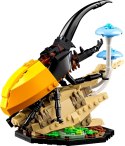 LEGO Ideas 21342 Kolekcja owadów Lego