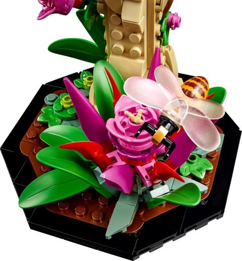 LEGO Ideas 21342 Kolekcja owadów Lego LEGO Ideas 21342 Kolekcja owadów Lego
