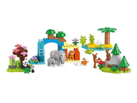 LEGO DUPLO TOWN 10446 Rodziny dzikich zwierząt 3w1 Lego LEGO DUPLO TOWN 10446 Rodziny dzikich zwierząt 3w1 Lego