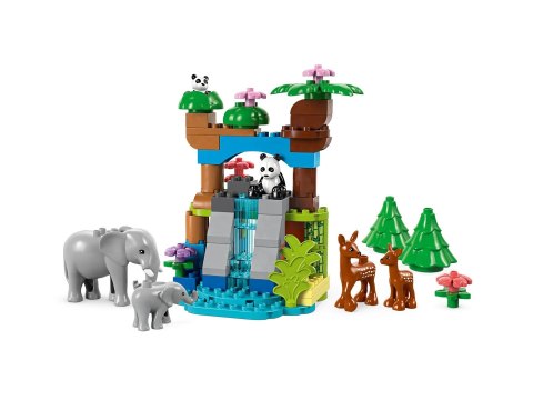 LEGO DUPLO TOWN 10446 Rodziny dzikich zwierząt 3w1 Lego LEGO DUPLO TOWN 10446 Rodziny dzikich zwierząt 3w1 Lego
