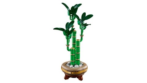 LEGO ICONS 10344 Botanicals - Dracena sandera Lego LEGO ICONS 10344 Botanicals - Dracena sandera Lego
