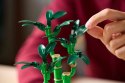 LEGO ICONS 10344 Botanicals - Dracena sandera Lego