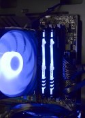 Actina PBA 3600/16GB/1TB/RX6600/500W Actina