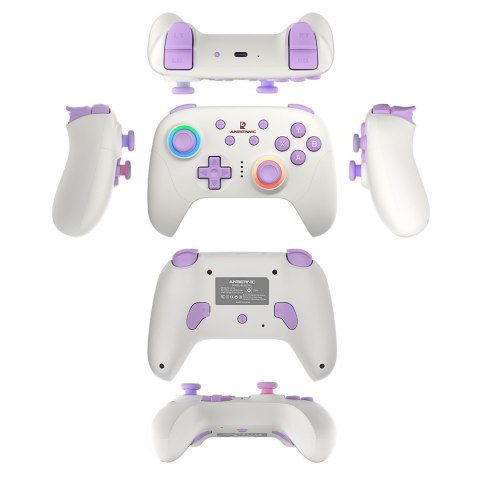 Gamepad ANBERNIC P01 Beige White ANBERNIC Gamepad ANBERNIC P01 Beige White ANBERNIC