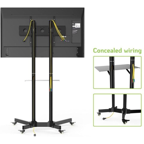 TECHLY STOJAK MOBILNY TV LED/LCD 30-65 CALI 60KG 1 TECHly TECHLY STOJAK MOBILNY TV LED/LCD 30-65 CALI 60KG 1 TECHly
