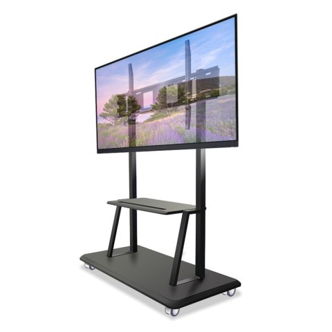 TECHLY STOJAK MOBILNY TV LED/LCD/PDP 55-120 CALI 1 TECHly TECHLY STOJAK MOBILNY TV LED/LCD/PDP 55-120 CALI 1 TECHly