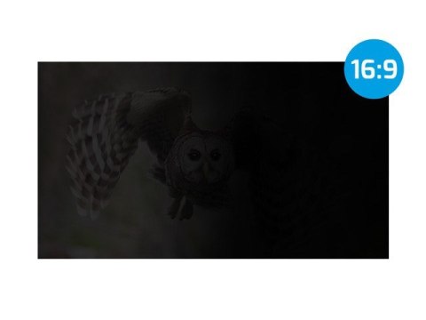 NATEC FILTR PRYWATYZUJĄCY OWL 27" 16:9 NFP-2118 NATEC NATEC FILTR PRYWATYZUJĄCY OWL 27" 16:9 NFP-2118 NATEC