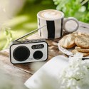 Radio ADLER AD 1906 Adler