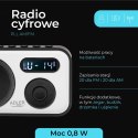 Radio ADLER AD 1906 Adler