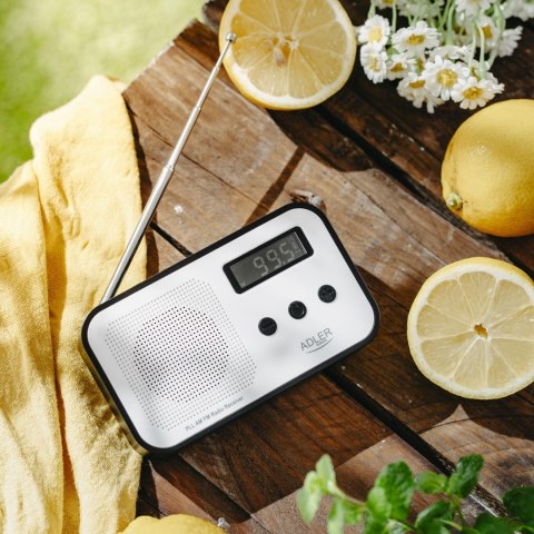 Radio ADLER AD 1907 Adler Radio ADLER AD 1907 Adler