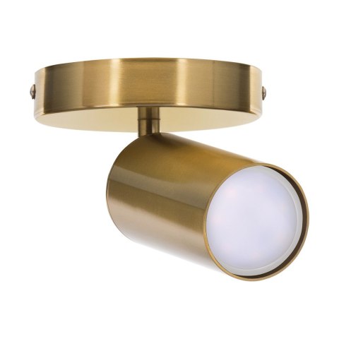 Kinkiet pojedynczy złoty sufitowy ścienny Activejet SPECTRA reflektor GU10 do salonu Activejet Kinkiet pojedynczy złoty sufitowy ścienny Activejet SPECTRA reflektor GU10 do salonu Activejet