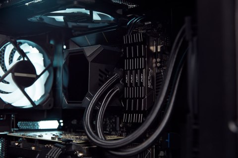 KINGSTON FURY Renegade DDR4 32GB 3600MHz CL16 (Kit x2) Czarny Kingston KINGSTON FURY Renegade DDR4 32GB 3600MHz CL16 (Kit x2) Czarny Kingston