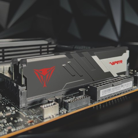PATRIOT DDR5 2x16GB VIPER VENOM 7000MHz CL32 Patriot Memory PATRIOT DDR5 2x16GB VIPER VENOM 7000MHz CL32 Patriot Memory