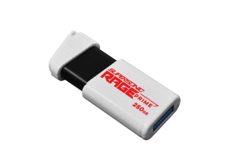 Patriot Rage Prime 600 MB/s 256GB USB 3.2 8k IOPs Patriot Memory Patriot Rage Prime 600 MB/s 256GB USB 3.2 8k IOPs Patriot Memory