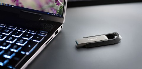 SANDISK FLASH EXTREME GO 256GB USB 3.2 SanDisk SANDISK FLASH EXTREME GO 256GB USB 3.2 SanDisk