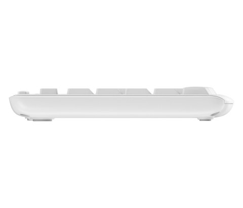 ZESTAW LOGITECH MK295 ( US ) Silent Wireless White Logitech ZESTAW LOGITECH MK295 ( US ) Silent Wireless White Logitech