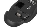 Zestaw klawiatura + mysz membranowa NATEC Stingray NZB-1440 (USB (Radio 2.4 GHz); (US); kolor czarny; optyczna; 1600 DPI, 800 DP NATEC
