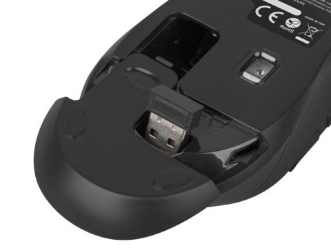Zestaw klawiatura + mysz membranowa NATEC Stingray NZB-1440 (USB (Radio 2.4 GHz); (US); kolor czarny; optyczna; 1600 DPI, 800 DP NATEC Zestaw klawiatura + mysz membranowa NATEC Stingray NZB-1440 (USB (Radio 2.4 GHz); (US); kolor czarny; optyczna; 1600 DPI, 800 DP NATEC