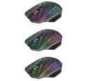 DEFENDER MYSZ BEZPRZEWODOWA GM-503 URAN OPTIC RF RGB 3200DPI 8P 52503 Defender