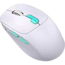 DEFENDER MYSZ NITTA MM-307 RF+BT OPTIC 1600dpi 6P BIAŁA Defender