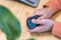 Mysz TRUST Primo Wireless Mouse matt dark blue Trust