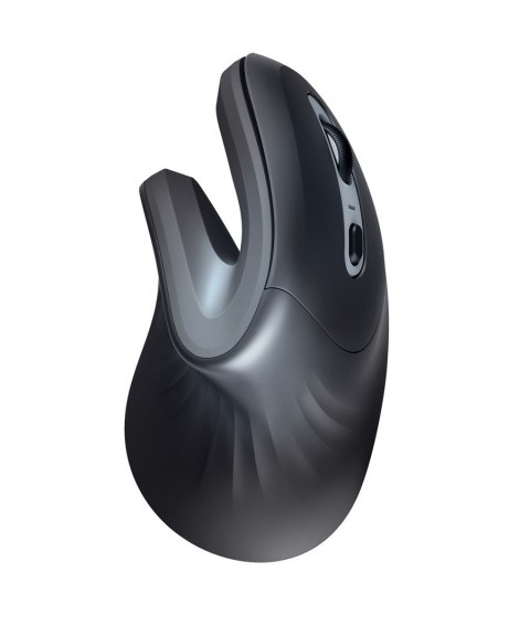 Mysz TRUST Verro Ergonomic Wireless Mouse Trust Mysz TRUST Verro Ergonomic Wireless Mouse Trust