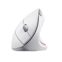 Mysz TRUST Verto Wireless vertical ergonomic White Trust