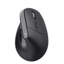 Mysz Trust BAYO+ ERGONOMIC WIRELESS Black Trust