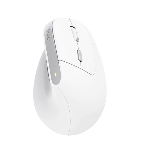 Mysz Trust BAYO II ERGONOMIC WIRELESS White Trust Mysz Trust BAYO II ERGONOMIC WIRELESS White Trust