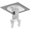 TECHLY UCHWYT DO PROJEKTORA SUFITOWY 22CM 10KG BIA TECHly
