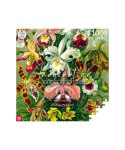 Puzzle Good Loot 1000 Imagination Ernst Haeckel Orchidea / Orchid Cenega Publishing