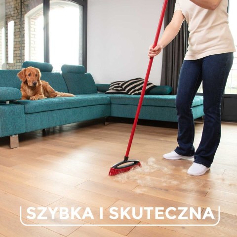 Szczotka do zamiatania sierści i włosów Vileda Always Clean PET PRO VILEDA Szczotka do zamiatania sierści i włosów Vileda Always Clean PET PRO VILEDA