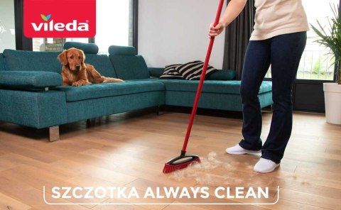Szczotka do zamiatania sierści i włosów Vileda Always Clean PET PRO VILEDA Szczotka do zamiatania sierści i włosów Vileda Always Clean PET PRO VILEDA