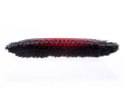 Wkład do szczotki uniwersalnej Vileda Classica 2w1 VILEDA