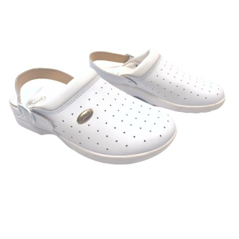Buty Clog Racy marki Scholl BIAŁY 37 Mobilex Buty Clog Racy marki Scholl BIAŁY 37 Mobilex