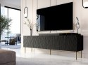 Szafka RTV JUNGLE 190x40,5x59,5 czarny mat + złote nóżki Cama MEBLE
