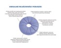 Ortopedyczna poduszka do siedzenia "PERFECT BALANCE" ARmedical