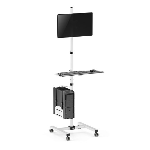 MACLEAN WÓZEK STAND PROFESJONALNY, MOBILNE STANOWISKO KOMPUTEROWE NA KÓŁKACH, MAX 17"-32", MAX 20KG MC-793 W Maclean MACLEAN WÓZEK STAND PROFESJONALNY, MOBILNE STANOWISKO KOMPUTEROWE NA KÓŁKACH, MAX 17"-32", MAX 20KG MC-793 W Maclean