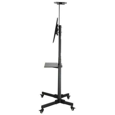 TECHLY STOJAK MOBILNY TV LED/LCD 37-70 CALI 50KG 2 TECHly TECHLY STOJAK MOBILNY TV LED/LCD 37-70 CALI 50KG 2 TECHly