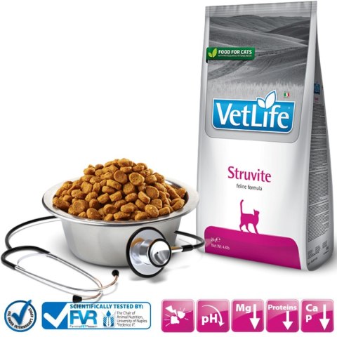 FARMINA Vet Life Struvite Feline - sucha karma dla kota - 2kg Farmina FARMINA Vet Life Struvite Feline - sucha karma dla kota - 2kg Farmina