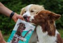 GELOREN Large Dog Suplement dla psa - 420g CONTIPRO