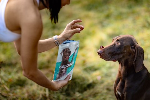 GELOREN Large Dog Suplement dla psa - 420g CONTIPRO GELOREN Large Dog Suplement dla psa - 420g CONTIPRO