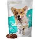 GELOREN Small Dog Suplement dla psa - 180g CONTIPRO