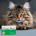 JM SANTE MULTIWAY DUOCAPS SIERŚĆ 60 kaps JM Sante