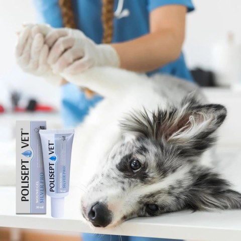 JM SANTE POLISEPT VET GEL PRO SILVER opatrunek żelowy 30ml JM Sante JM SANTE POLISEPT VET GEL PRO SILVER opatrunek żelowy 30ml JM Sante