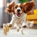 JM SANTE POLISEPT VET RECOVERY preparat energetyczny 12ml JM Sante