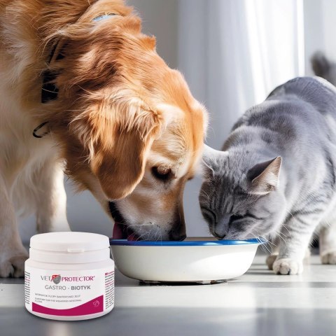JM SANTE VET PROTECTOR GASTRO BIOTYK biegunka wzdęcia zaparcia alergie pokarmowe 60g JM Sante JM SANTE VET PROTECTOR GASTRO BIOTYK biegunka wzdęcia zaparcia alergie pokarmowe 60g JM Sante