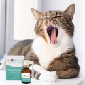 JM SANTE VET PROTECTOR JAMA USTNA SPRAY 30ml JM Sante