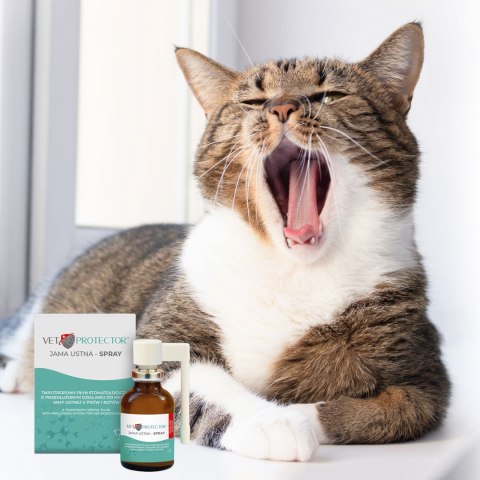 JM SANTE VET PROTECTOR JAMA USTNA SPRAY 30ml JM Sante JM SANTE VET PROTECTOR JAMA USTNA SPRAY 30ml JM Sante